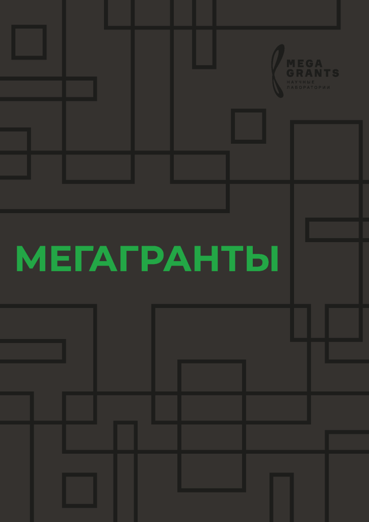 Каталог 2023 года - Итоги реализации программы Мегагрантов в 2010–2022 годах